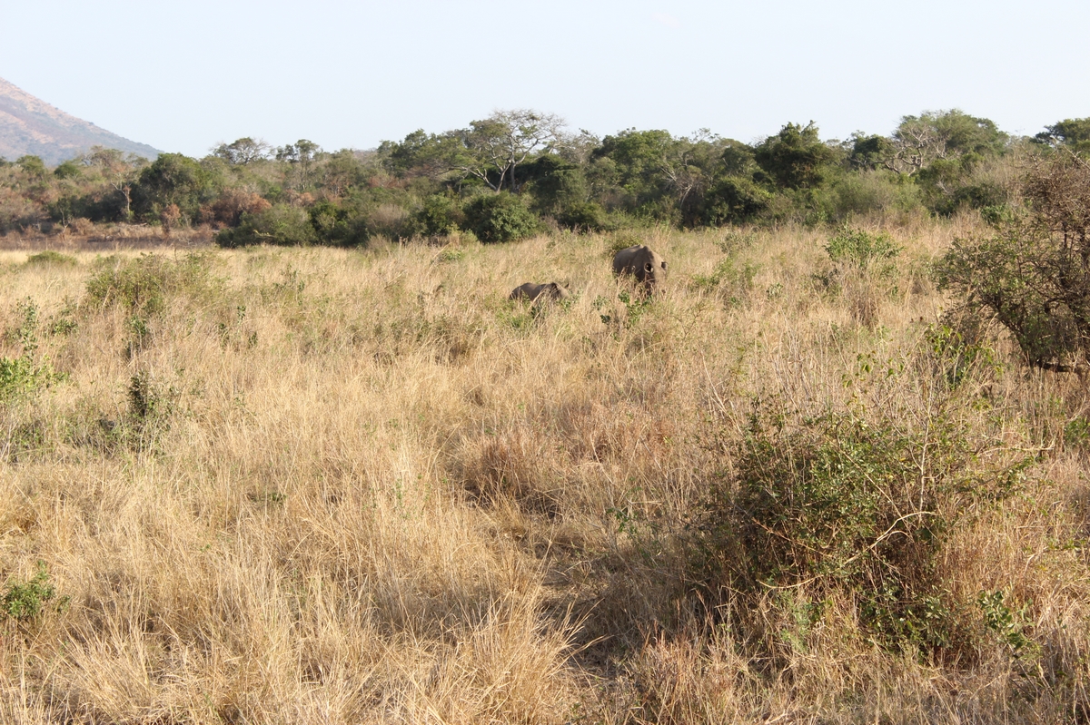 Suedafrika_1 (75a).JPG